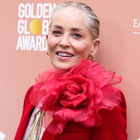 Sharon Stone stárne s grácií a bez zbytečných zásahů plastických chirurgů. Ani lehké vrásky neubírají hollywoodské legendě na sexappealu a perfektním vzhledu.
