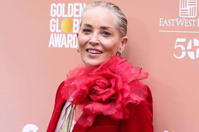 Sharon Stone stárne s grácií a bez zbytečných zásahů plastických chirurgů. Ani lehké vrásky neubírají hollywoodské legendě na sexappealu a perfektním vzhledu.