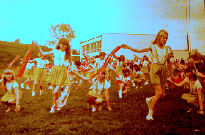 Akci zorganizovala základní devítiletá škola v obci Sedlice.