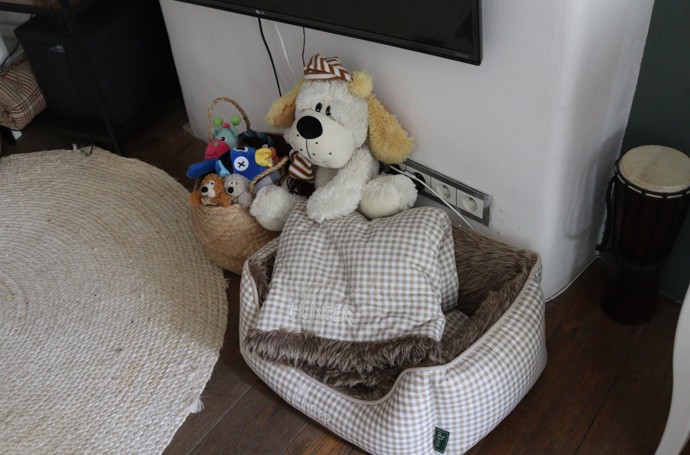 S Veronikou sdílí dům také její pejsek Woody, který v době naší návštěvy nebyl doma.