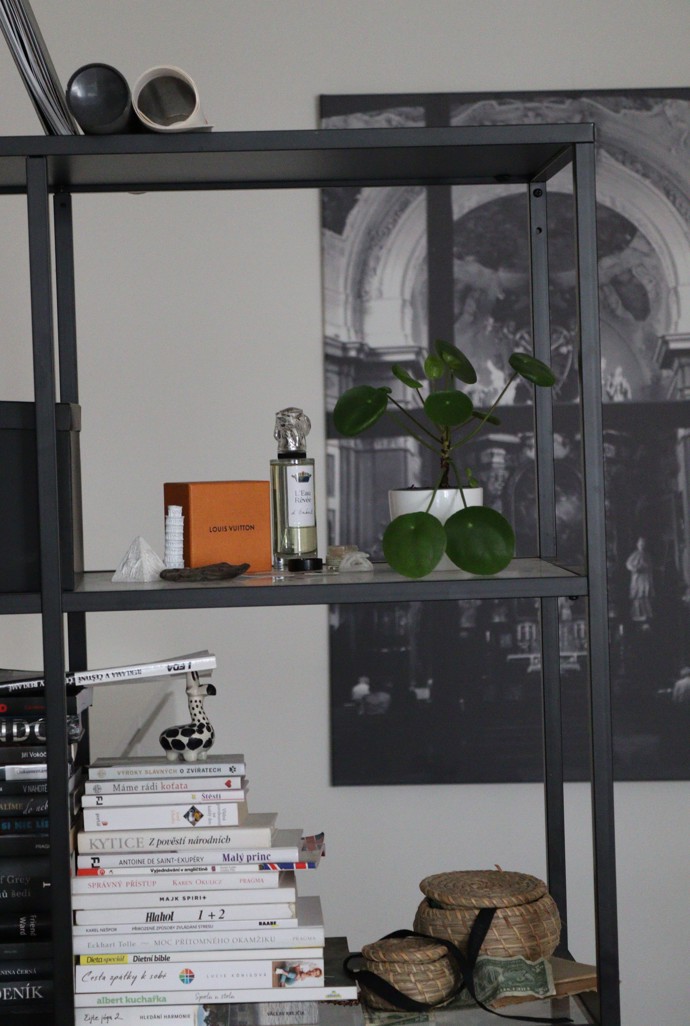 Květiny miluje - oblíbená je například pokojovka pilea.