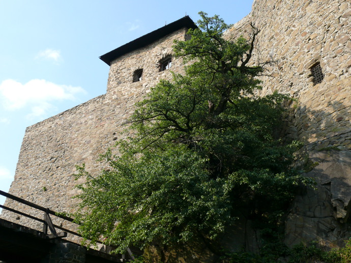 Na hradbách Helfštýnu také najdete planou hrušeň (její věk se odhaduje kolem 250 let), ke které se pojí zajímavá pověst. 