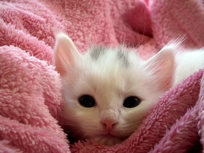 Naučte se být líná: Známe 5 způsobů, jak se nejlépe válet