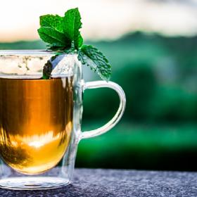 Čaj z jižní Ameriky, který se jmenuje Lapacho, vás sexuálně nebudí.