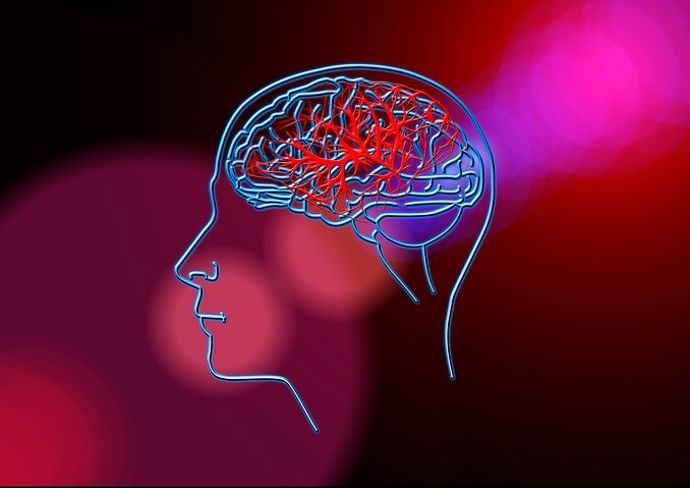 Váš mozek neustále dostává až 100 milionů informací pocházejících z očí, nosu, uší a kožních receptorů v těle. Je to opravdu výkonný "stroj"