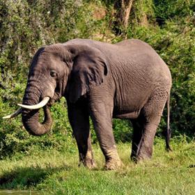 Svoji motoriku ale zvládá velmi dobře.