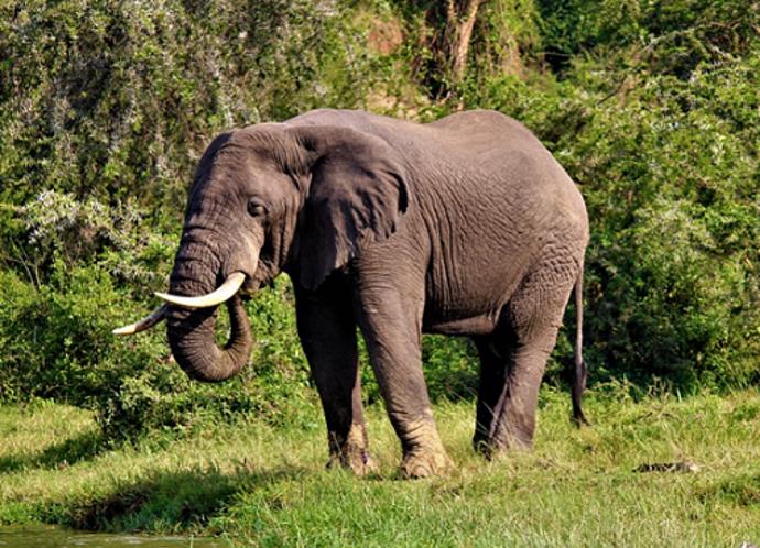 Svoji motoriku ale zvládá velmi dobře.