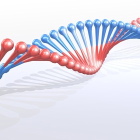Podařilo se Mengelemu docílit vyšší porodnosti?