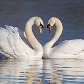 Češi věří na lásku na celý život.