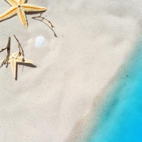 Na všem se dá ušetřit.