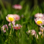 Příroda má vždy přednost.