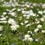 Využívejte tedy hlavně ji.