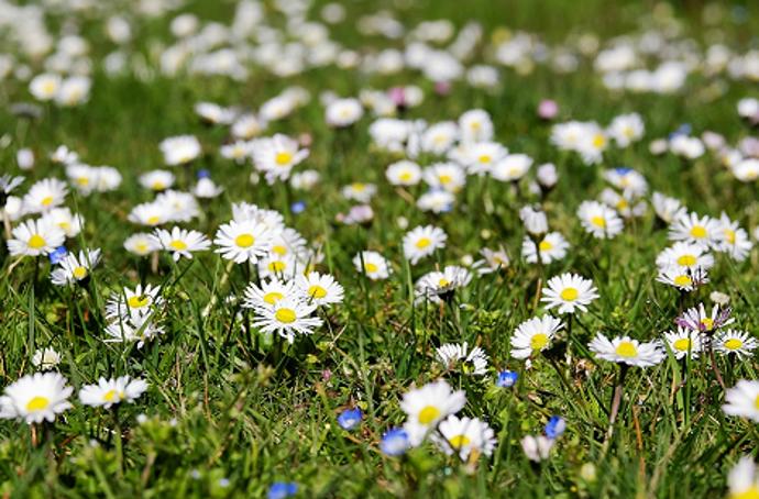 Využívejte tedy hlavně ji.