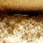 Nová nafoukaná izolace MAGMARELAX na ploché střeše.