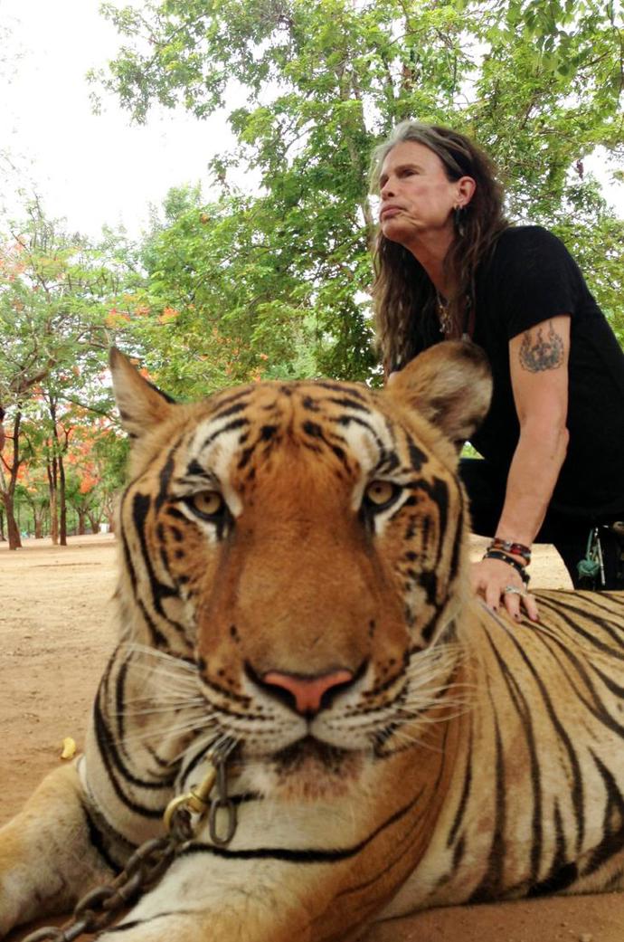 7. „Protože jsem strávil chvíli s jedním z nejvznešenějších tvorů přírody.“ – Steven Tyler, hudebník