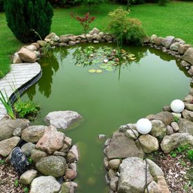 Jenže čeho je moc, toho je příliš, a to platí i pro řasy.