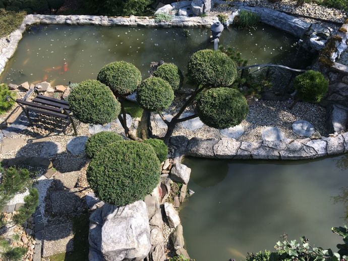 Výše uvedené postupy jsou velmi účinné, zejména za předpokladu dodržení doporučeného dávkování.