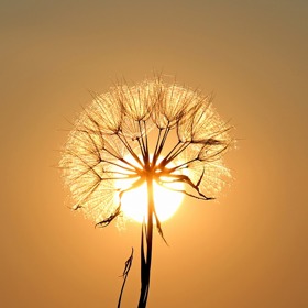 Nejen při letních sportech hrozí úžeh a dehydratace