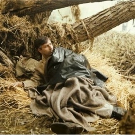 Smrt krásných srnců je vzpomínka na dětství Oty Pavla