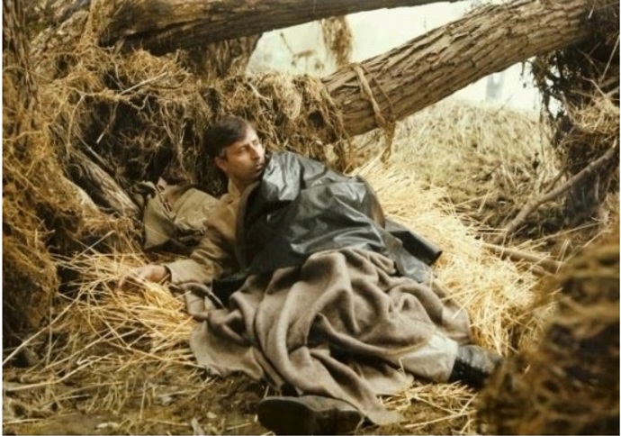 Smrt krásných srnců je vzpomínka na dětství Oty Pavla