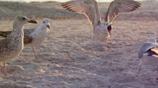 Nárok na odpočinek máte vždycky.