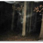 V hlubokých bažinách se rozhodlo mnoho lidí předčasně ukončit svůj život. Před několika lety tu dokonce stával strom oběšenců, na němž si v průběhu řady let mnoho lidí vzalo život.