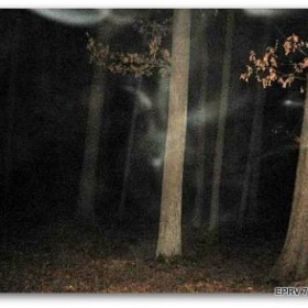 V hlubokých bažinách se rozhodlo mnoho lidí předčasně ukončit svůj život. Před několika lety tu dokonce stával strom oběšenců, na němž si v průběhu řady let mnoho lidí vzalo život.