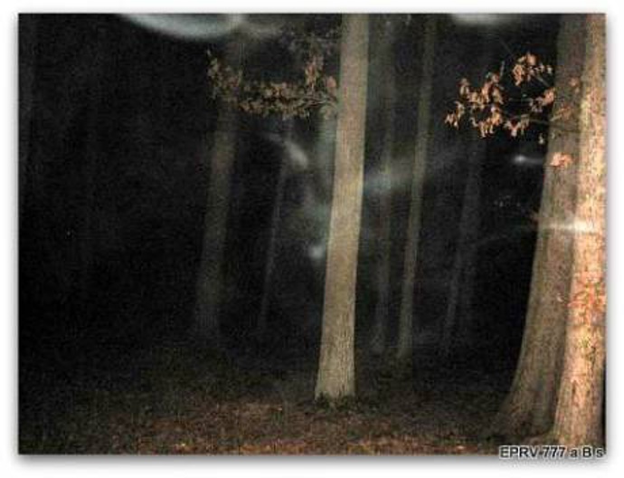 V hlubokých bažinách se rozhodlo mnoho lidí předčasně ukončit svůj život. Před několika lety tu dokonce stával strom oběšenců, na němž si v průběhu řady let mnoho lidí vzalo život.