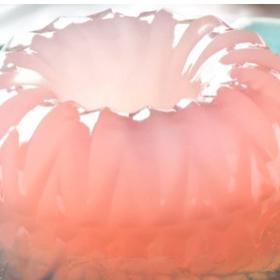 Proč si nepřipravit pro slavnostní den netradiční pití ve formě želé? Hosty určitě zaujme a účinky má stejné jako v tekuté formě.