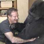 Smysl pro humor mu nechyběl.