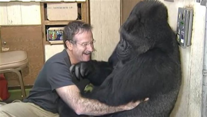 Smysl pro humor mu nechyběl.