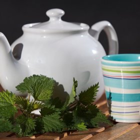 Odvar z kopřiv je obzvlášť na jaře ideální jako detoxikační prostředek, který vyčistí organismus. 