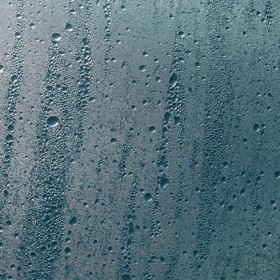 Daří se jí díky vlhkosti.