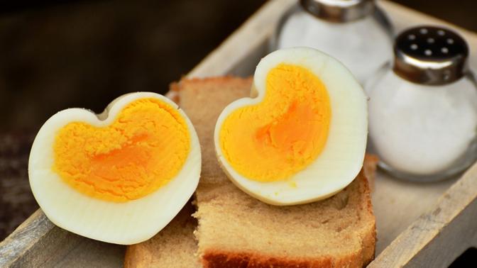 Vytáhnou z kocoviny.