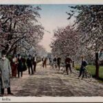 V květnu bylo v Roztokách nejkrásněji