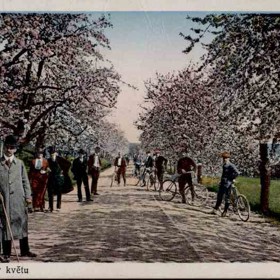 V květnu bylo v Roztokách nejkrásněji