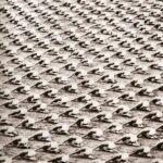 Všichni cvičili naprosto jednotně a synchronizovaně.