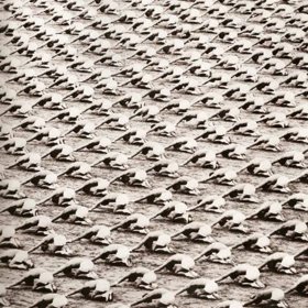 Všichni cvičili naprosto jednotně a synchronizovaně.