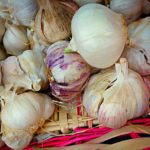 Česneku se říká "zabiják lásky".