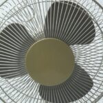 Boom větráků nastává pravidelně každé léto, když nás několik dní trápí tropické počasí.