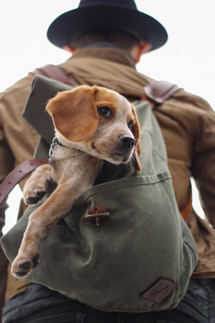 Nebo se svým mazlíčkem.