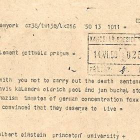 Mnohé světové osobnosti zasílaly telegramy, kde žádaly její propuštění.