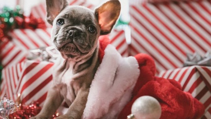 Některé dárky mohou být vskutku neočekávané.