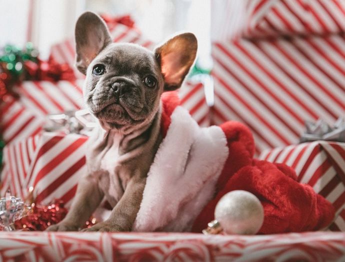 Některé dárky mohou být vskutku neočekávané.