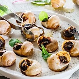 Šneci zmizeli z novodobých Vánoc a je to škoda.