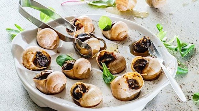 Šneci zmizeli z novodobých Vánoc a je to škoda.