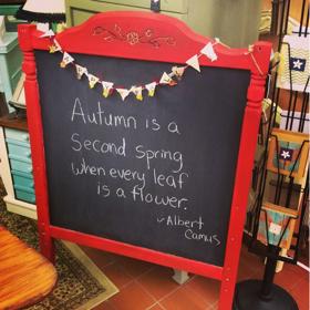 4. Křídová tabule.