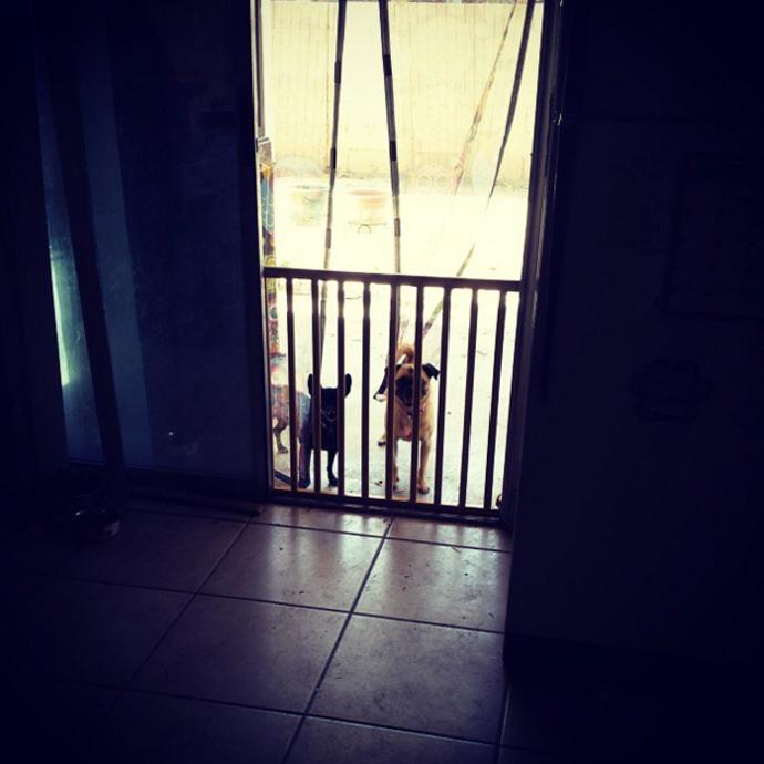 7. Zábrana pro dítě nebo psa.