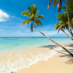 Pláž Pigeon Point.