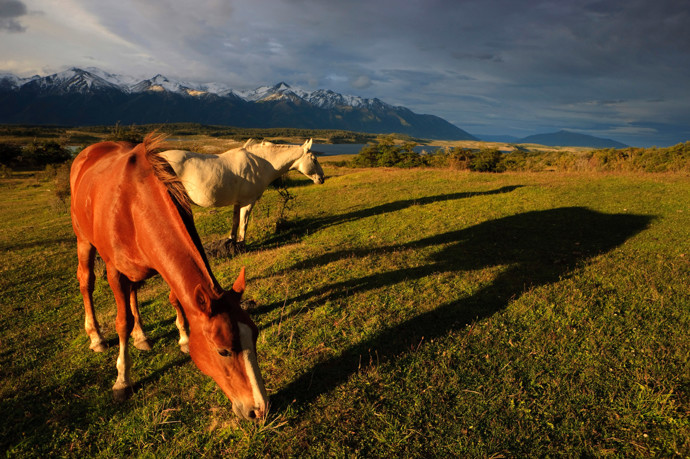 El Calafate, Patagonie.